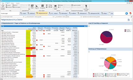 Diamant Controlling Mahnanalyse